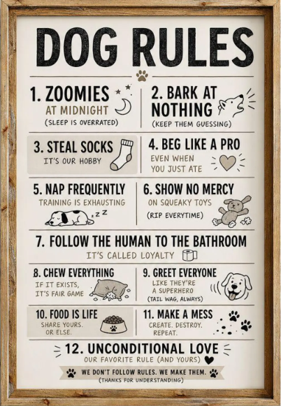 Rules............. Rules.............